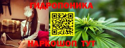индика Волжский
