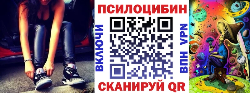 Галлюциногенные грибы Psilocybe  Братск 