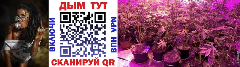 МАРИХУАНА конопля  гидра   Братск 